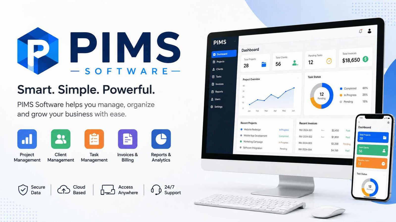What Is Pims Software